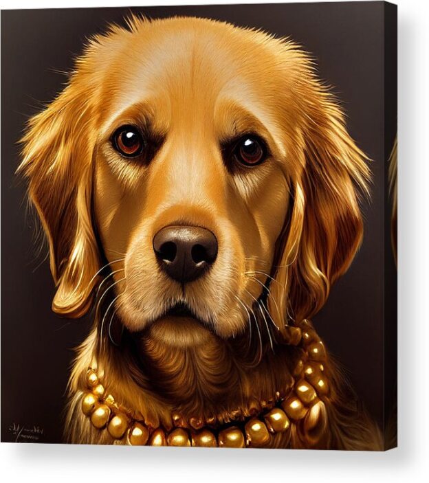 Golden Retriever Acrylic Prints