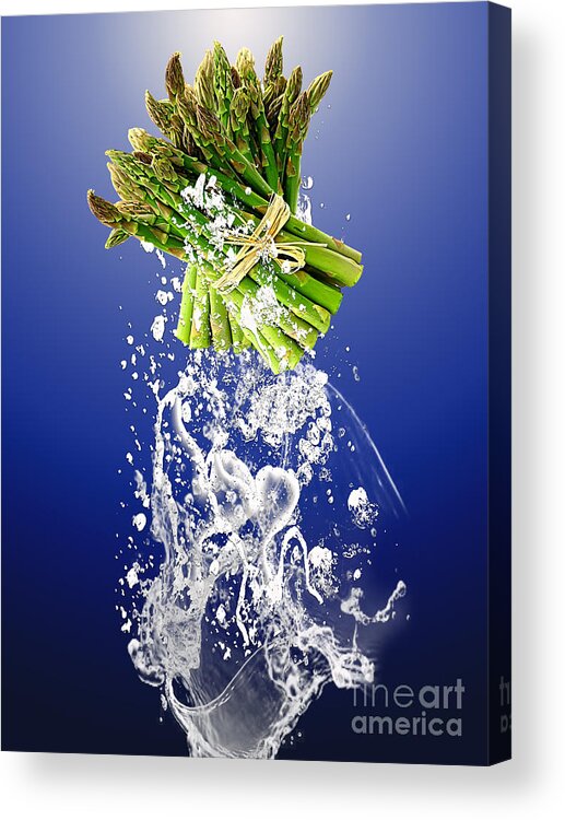 Asparagus Acrylic Prints